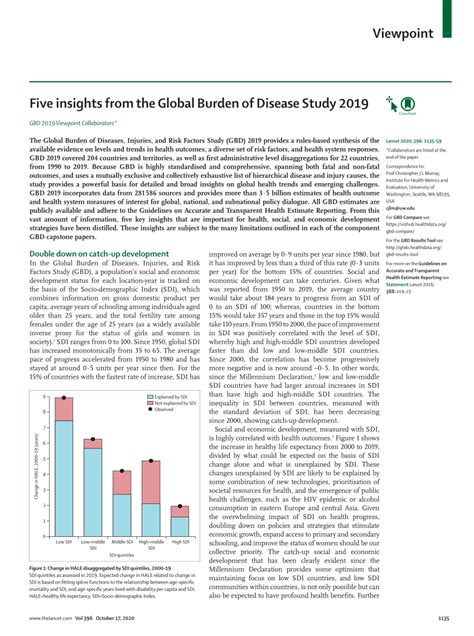 celine abdallah|Five insights from the Global Burden of Disease Study 2019.